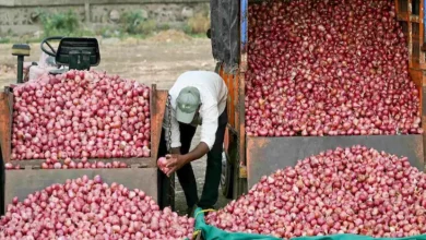 Onion did not sell even at 5 rupees per kg, farmers cried from the field to the market! Onion, which once brought tears to the eyes of the common man, is now in a state of shedding tears itself. In many parts of the country, the price of onion has fallen so much that