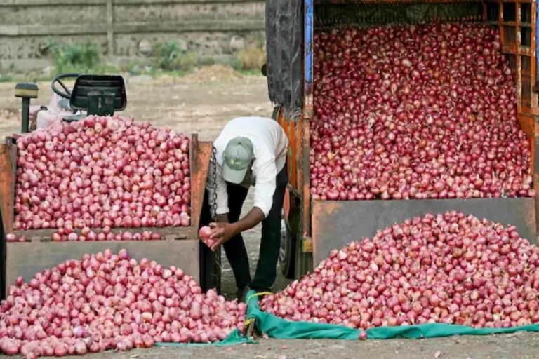 Onion did not sell even at 5 rupees per kg, farmers cried from the field to the market! Onion, which once brought tears to the eyes of the common man, is now in a state of shedding tears itself. In many parts of the country, the price of onion has fallen so much that