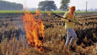 Punjab Parali