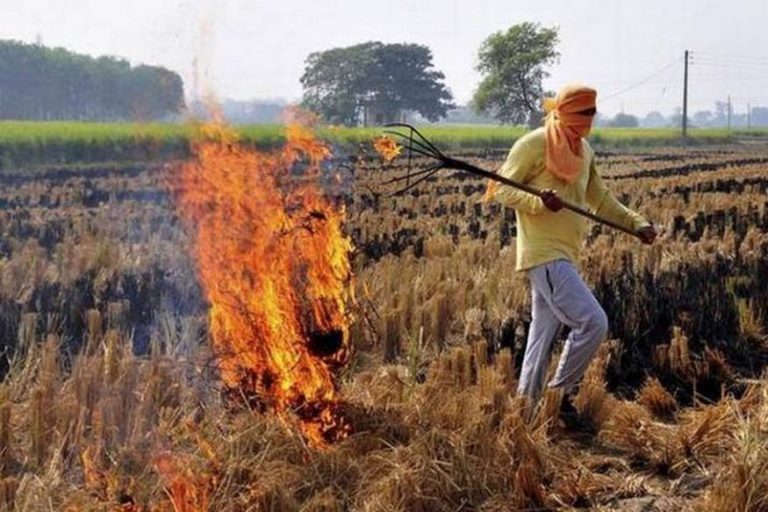 Pakistan Burning Parali: पाकिस्तान में जल रही पराली, भारत में जहरीली हवा का संकट