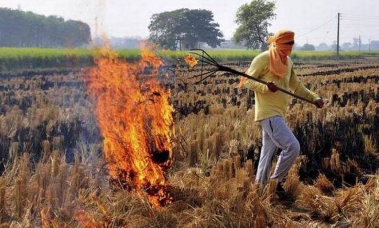 Punjab Parali