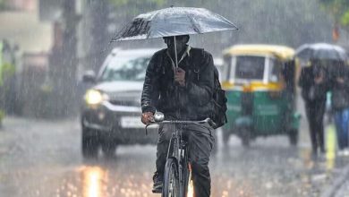 Weather Update: Weather havoc in Madhya Pradesh, alert of heavy rain and hailstorm in 33 districts, know the condition of your city