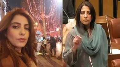 Ayodhya Babri Mosque News: Who is Palwasha Mohammad Zai Khan? She is giving provocative statements about Babri in Ayodhya