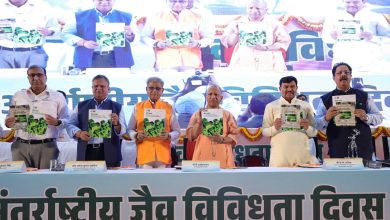 CM Yogi News: Nature is the basis of life…CM Yogi told why it is important!