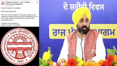 Punjab University