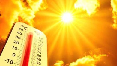 Punjab Weather Update