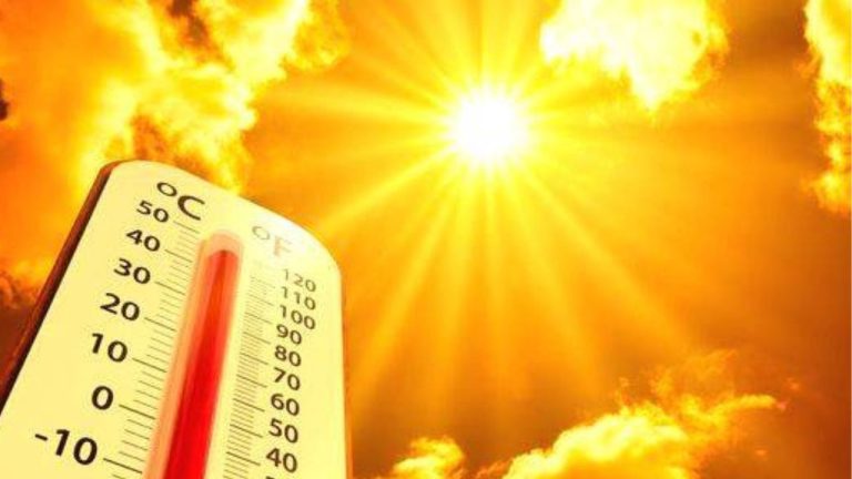 Haryana Weather Update: हरियाणा में भीषण गर्मी का कहर, तापमान 45 डिग्री पार, कई जिलों में अलर्ट जारी