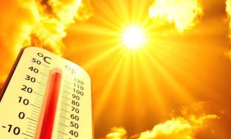 Punjab Weather Update