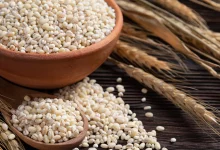 Barley Water Benefits