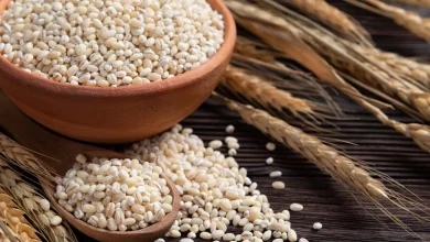 Barley Water Benefits