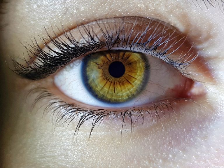 Eyse Protection From Dust