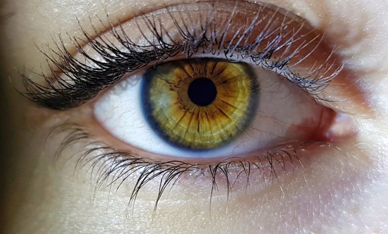 Eyse Protection From Dust