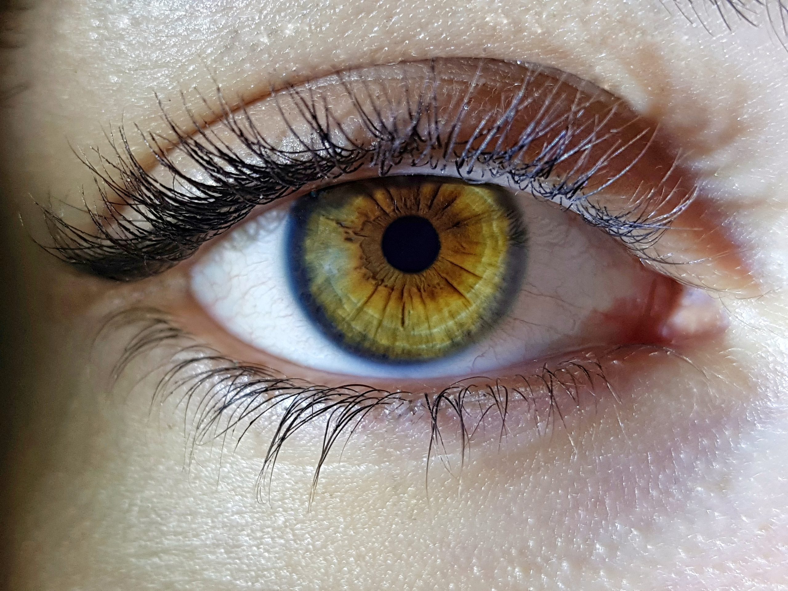 Eyse Protection From Dust