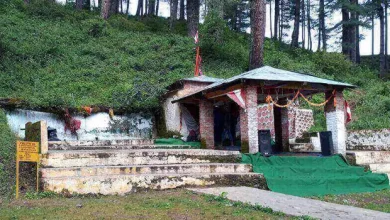 Bhawishya Badri Temple: The doors of Bhavishya Badri Dham were officially opened, the enthusiasm of devotees was seen in Panch Badri Yatra