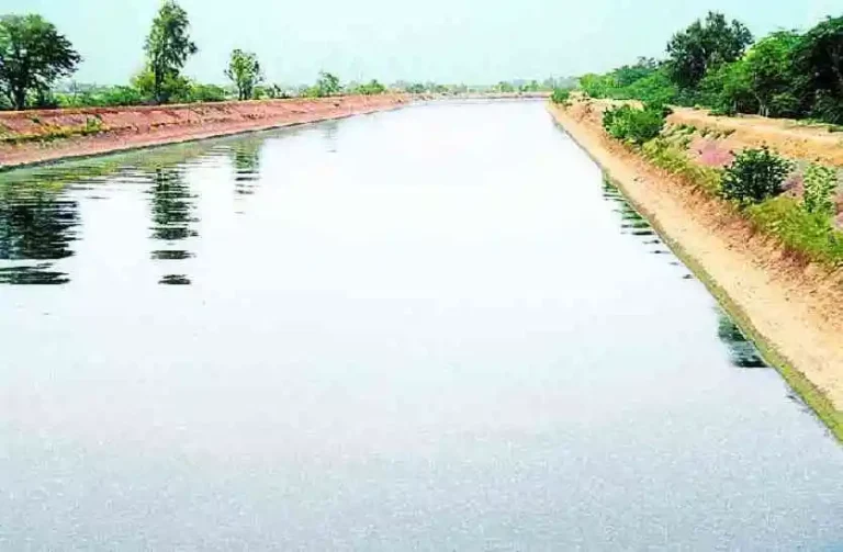 Punjab News Bhakra Canal