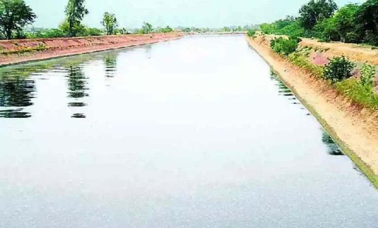 Punjab News Bhakra Canal