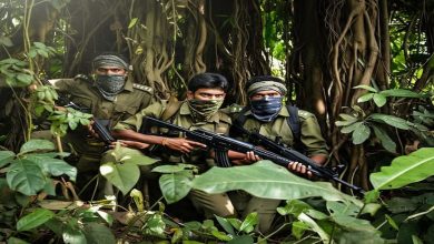 CG Naxal Operation: Naxalites' elimination is certain in monsoon, 448 killed in 16 months!