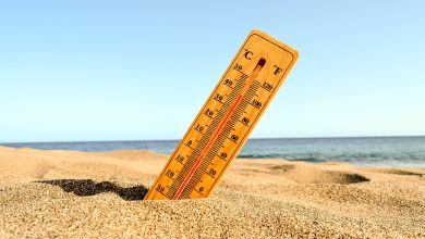 Summer Weather