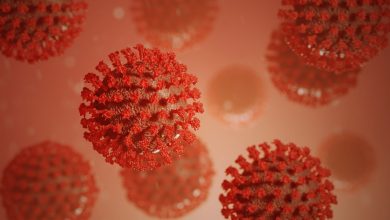 Corona Virus Case
