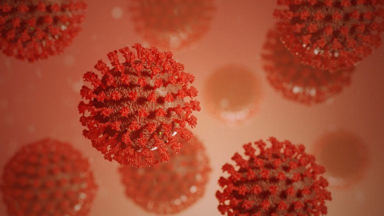 Corona Virus Case