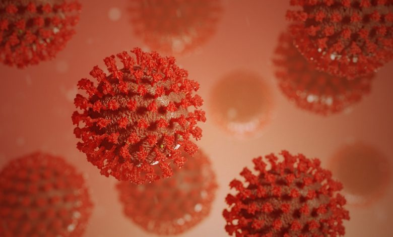Corona Virus