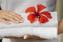 Hibiscus Flower Skincare