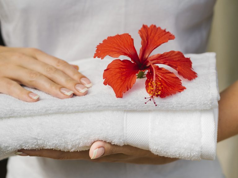 Hibiscus Flower Skincare