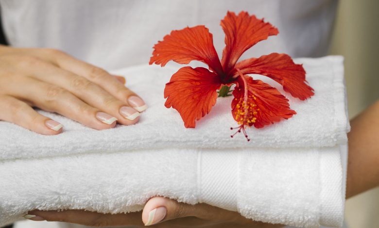Hibiscus Flower Skincare