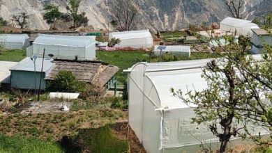 Polyhouse became a medium of progress for farmers in Chamoli, profits increased due to off-season farming