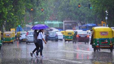 Monsoon arrives early in Kerala, not much delay in MP now!