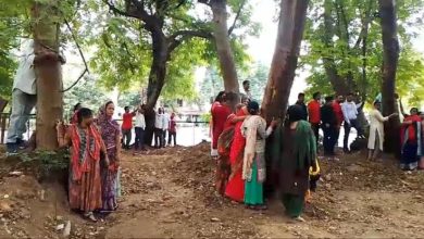 MP News: Only if trees are saved, will life be saved, call for Chipko movement on May 18