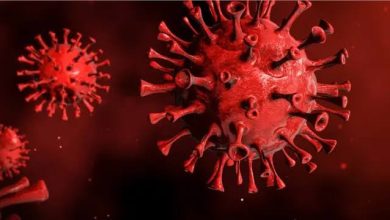 Out of thousands of variants of Corona virus, only 7 have proved to be more dangerous for humans.