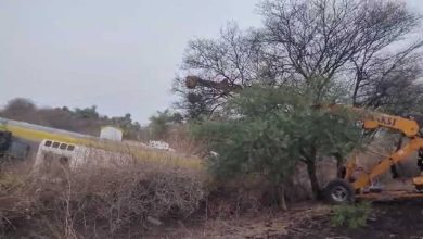 MP Road Accident: Two horrific road accidents in MP… bus fell into a ditch and two bikes collided, 8 died