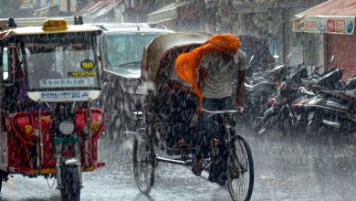 Southwest monsoon has gained momentum, IMD has issued an alert – heavy rains are expected in these states
