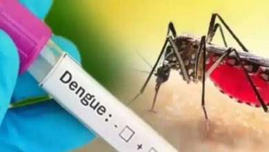 Dangue Alert: The risk of dengue has increased, be alert and protect yourself from mosquitoes and stay healthy!