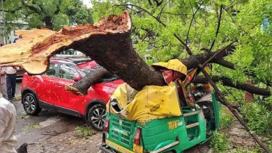 Delhi-NCR Weather: Due to storm and rain in many states of the country including Delhi-UP, roads got jammed, power was cut, trees and poles fell, many deaths also