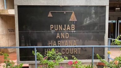 Punjab-Haryana Water Dispute: 'You cannot interfere in the work of BBMB', High Court reprimands Punjab government over water dispute
