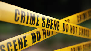 Punjab Crime