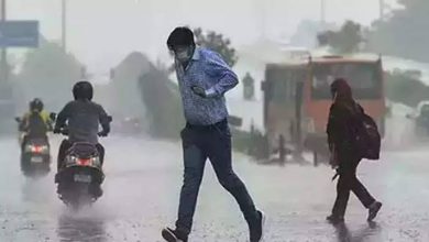 Weather Update: Weather is inverted in Madhya Pradesh, somewhere there is storm with rain, somewhere there is havoc of heat