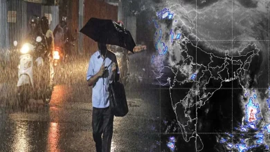 Weather Forecast: Relief expected from heavy rain and storm, know the condition of your state!