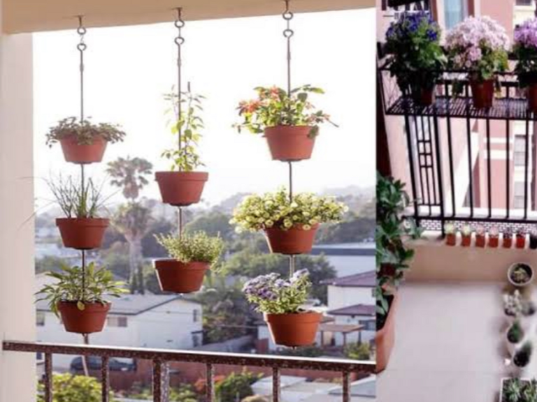 Uttar Pradesh News: There is no mercy for those who keep flower pots in the balcony, strict order issued by LDA, know why?
