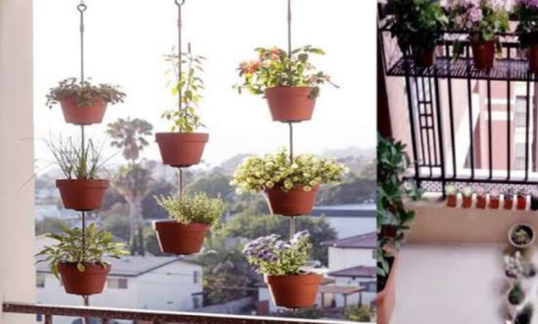 Uttar Pradesh News: There is no mercy for those who keep flower pots in the balcony, strict order issued by LDA, know why?