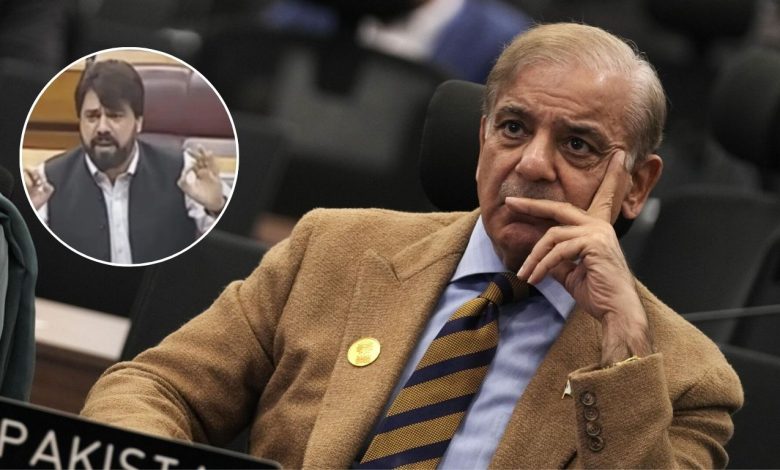 PTI MP On Shahbaz Sharif: Shahbaz Sharif is a coward... Pakistani leaders got angry on their own PM after India's attack