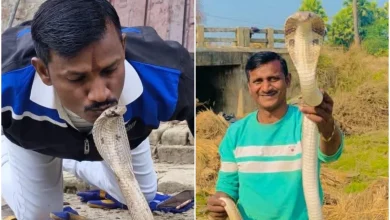 Bihar Snake Man Death News: The protector himself became the victim! The 'messiah of snakes' in Bihar died a painful death due to snake bite!