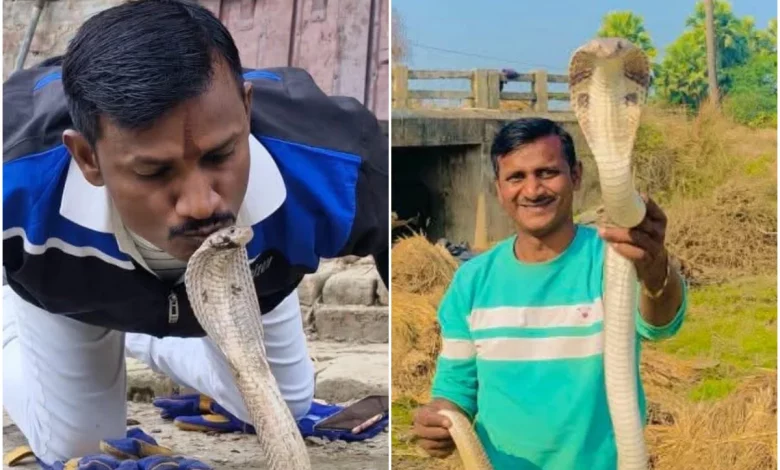 Bihar Snake Man Death News: The protector himself became the victim! The 'messiah of snakes' in Bihar died a painful death due to snake bite!