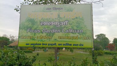 New direction to environmental conservation from Uttarakhand's Ficus Park, 121 rare species are being conserved