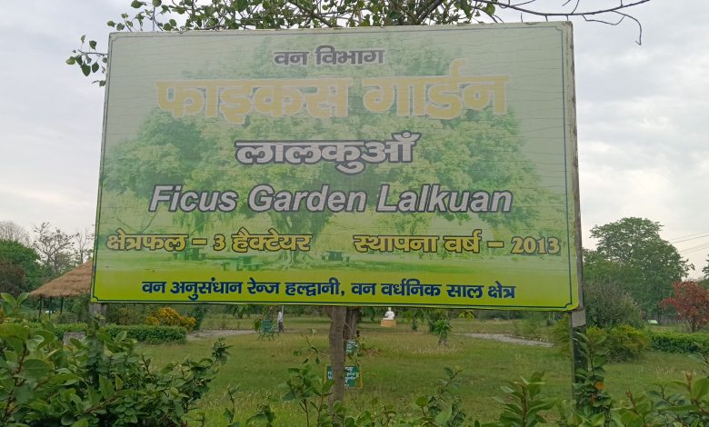 New direction to environmental conservation from Uttarakhand's Ficus Park, 121 rare species are being conserved