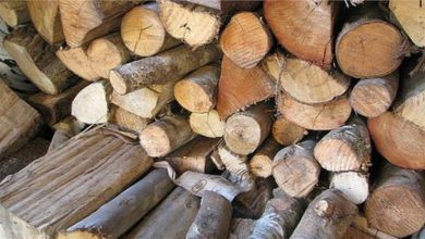 The demand for Uttarakhand's timber increased nationwide, Forest Corporation earned a revenue of Rs 201 crore