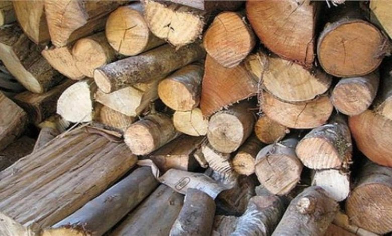 The demand for Uttarakhand's timber increased nationwide, Forest Corporation earned a revenue of Rs 201 crore