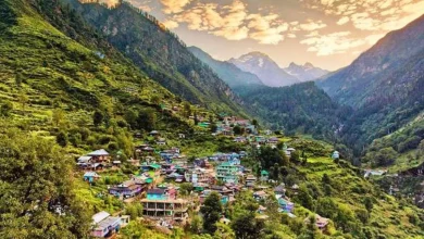 Protected areas of Uttarakhand will get relief, proposal is ready to spend 80% of eco tourism income on area development